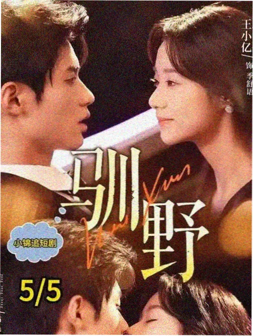 更新表条目第七码头纪事第五集的封面
