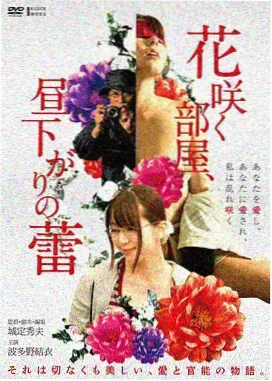 短片路线推荐海面以下的信